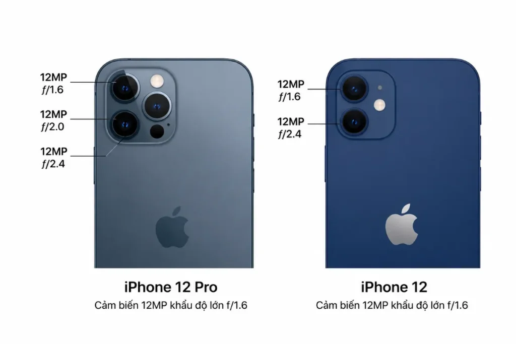 Về camera chính: iPhone 12 Pro và iPhone 12 mang lại chất lượng tương đồng ở điều kiện đủ sáng