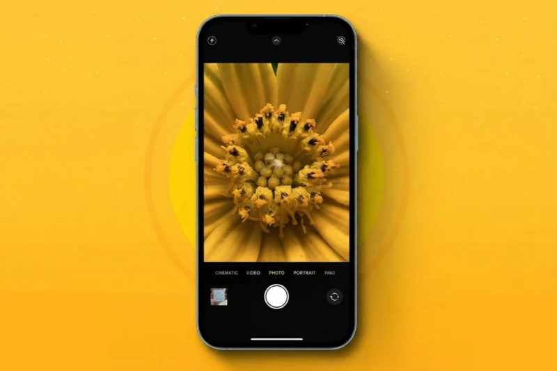 Ảnh chụp cận cảnh một bông hoa bằng camera góc siêu rộng của iPhone 12 Pro Max
