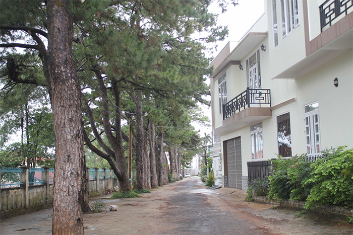 Đất liền kề là các khu đất liền nhau, tiếp nối nhau với khu đất đã được xác định
