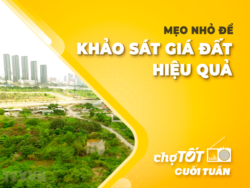 Mẹo nhỏ để khảo sát giá đất hiệu quả