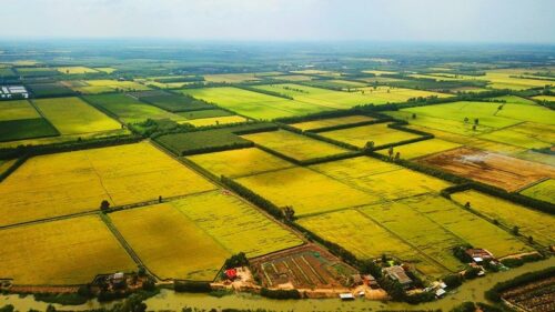 giá đền bù đất nông nghiệp