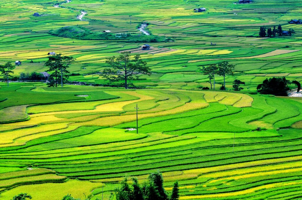 Nhà nước thu hồi đất là gì? Những thông tin về thu hồi đất đầy đủ nhất thu-hoi-dat-ava