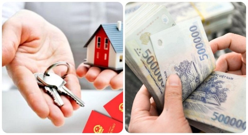Top 6 kinh nghiệm mua đất đầu tư tiền đẻ ra tiền “xương máu”