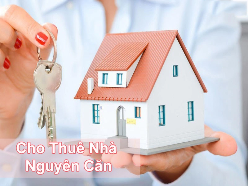 Nhu cầu thuê nhà nguyên căn ngày một nhiều