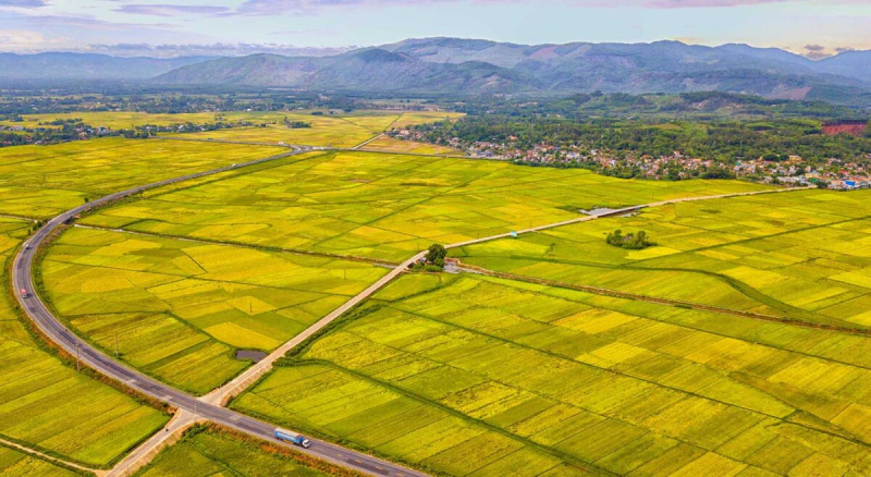 Đất sào là gì 3