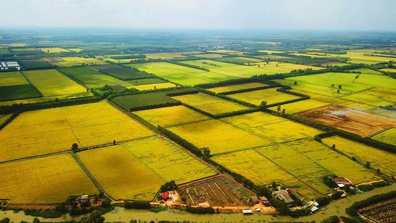 Đất sào là gì 1