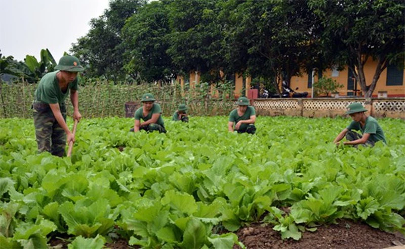 Thu hồi sổ đỏ 3
