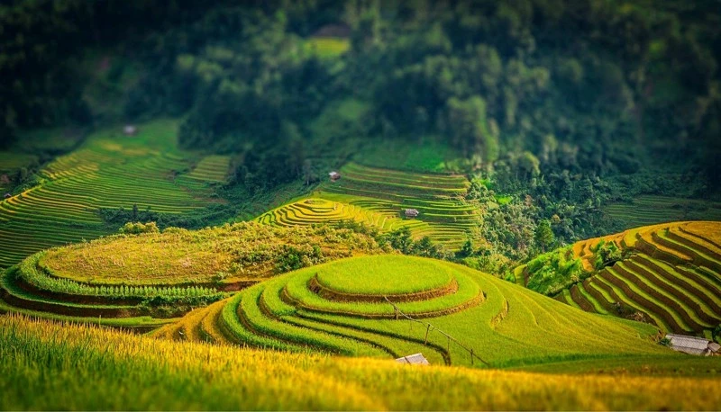 Đất sào là gì 4