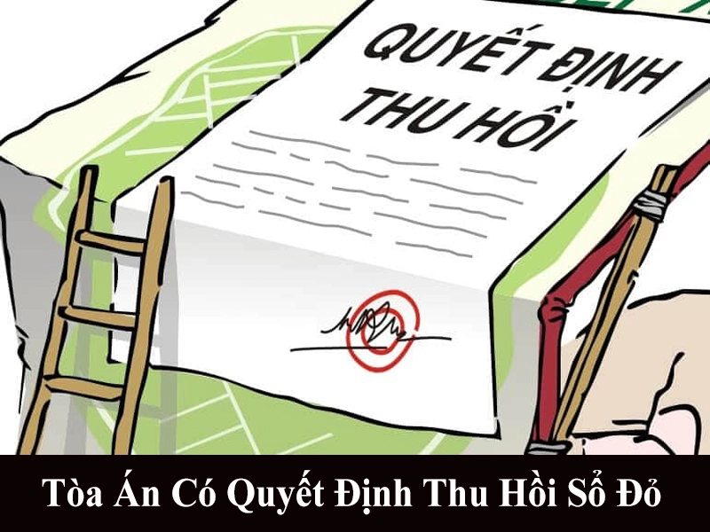cac truong hop thu hoi so do 3
