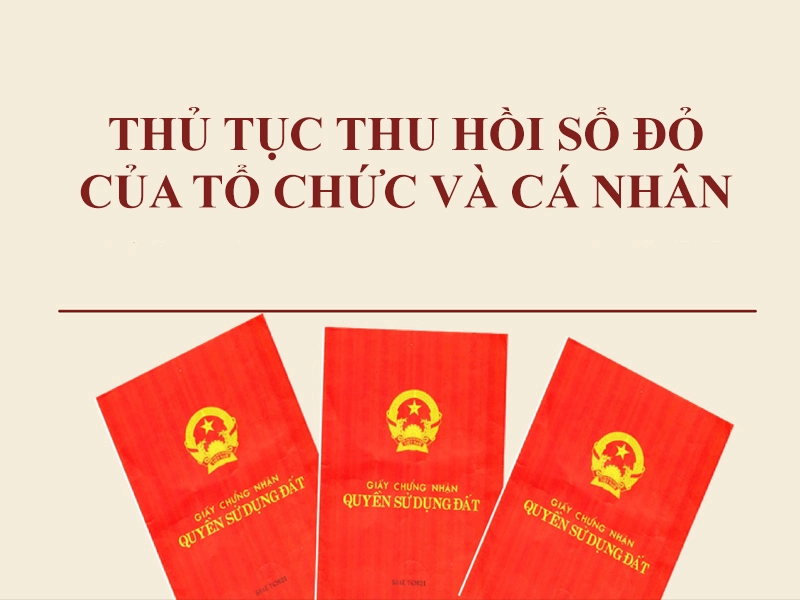 cac truong hop thu hoi so do 4