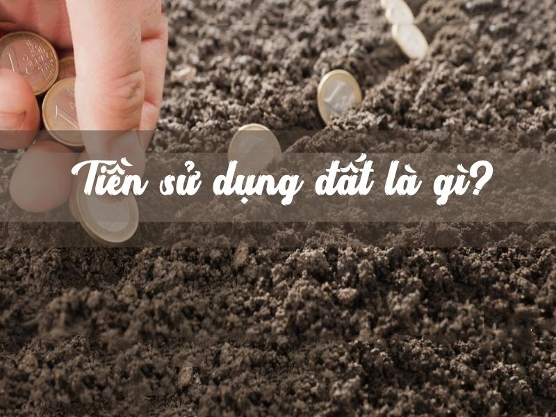tien su dung dat 1