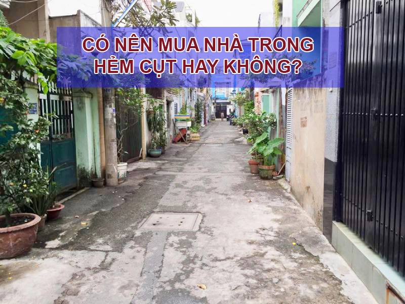co nen mua nha o hem cut khong 1