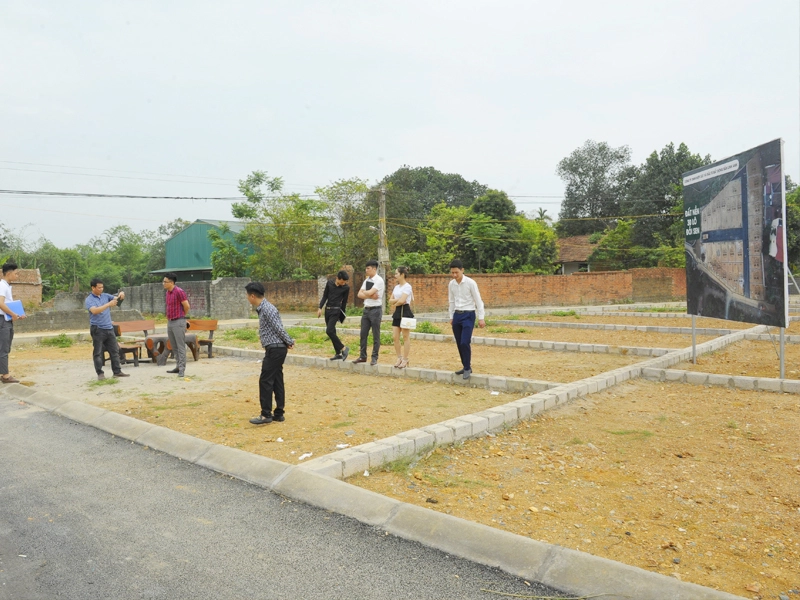 Khi đầu tư mua đất ở nông thôn bạn cần lưu ý nhiều điều