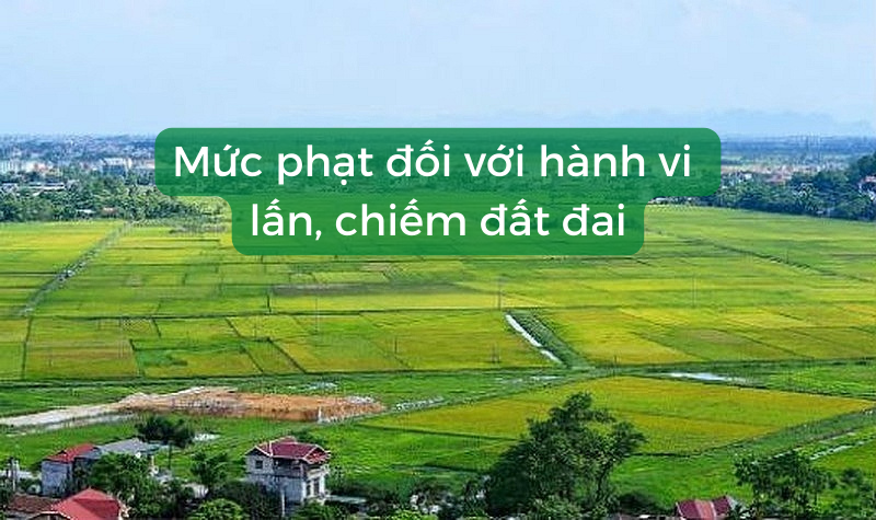 Xử phạt hình sự nếu cố tình tiếp tục vi phạm lấn chiếm đất đai