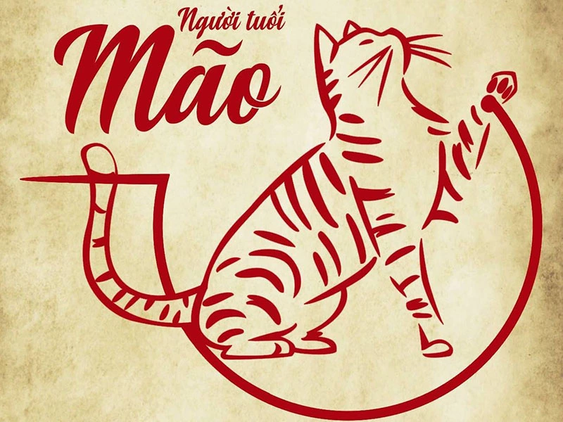 tuoi meo hop huong nao 1