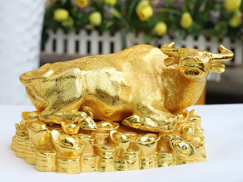 tuoi suu hop huong nao 2