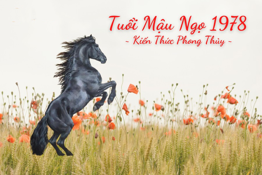 Tuoi Mau Ngo xay nha nam nao tot 1
