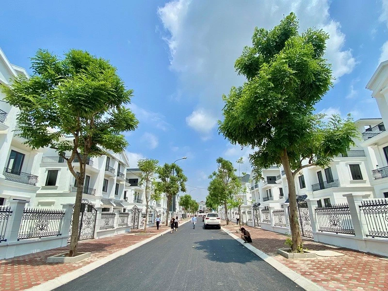 Qũy đất là gì 2