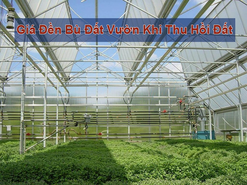 gia den bu dat vuon 1 - Giá đền bù đất vườn hiện tại là bao nhiêu đang được nhiều người quan tâm