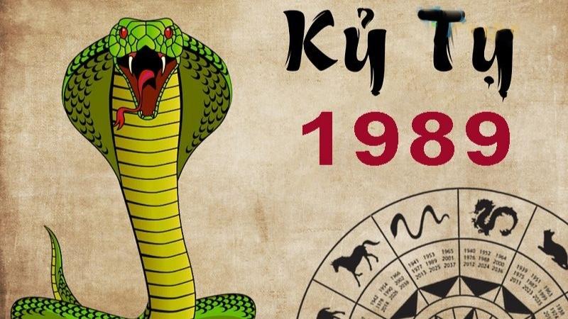 Đặc điểm tuổi Kỷ Tỵ 1989