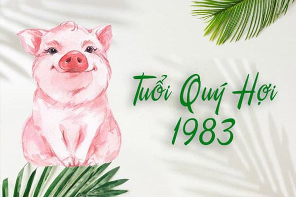 Tổng quan tuổi Quý Hợi và hướng nhà tuổi Quý Hợi cần lưu ý