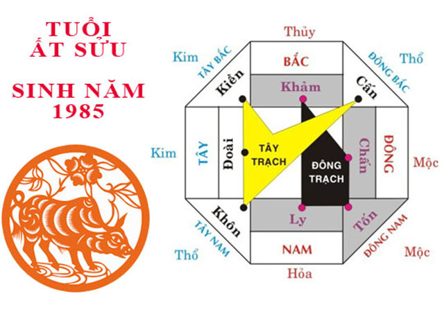 hướng nhà tuổi 1985 trong bố trí phong thủy