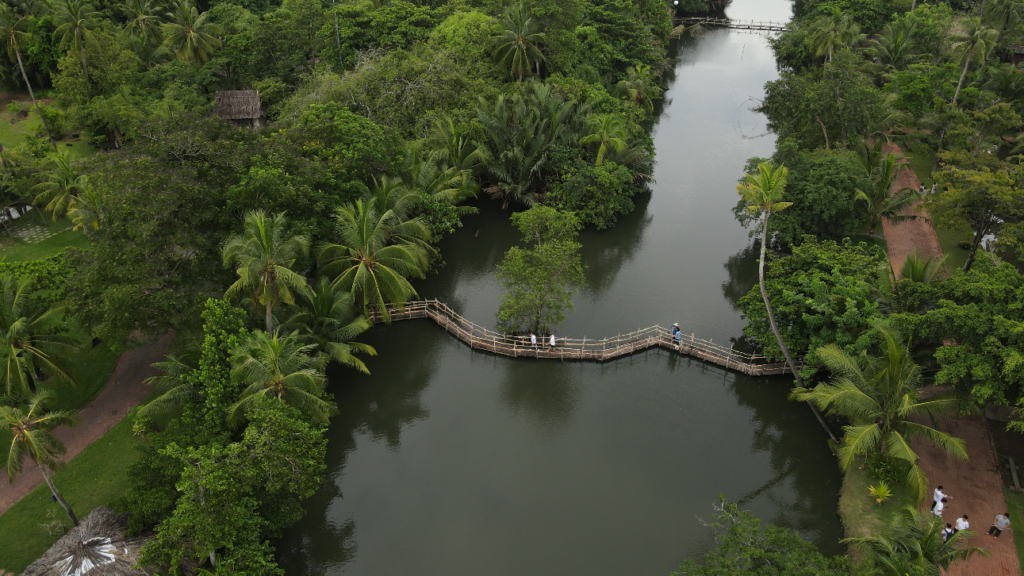 Khu du lịch Bình Quới
