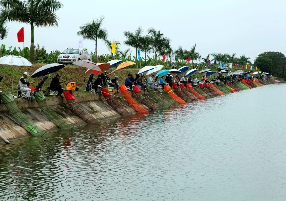 Hình ảnh các địa điểm câu cá ở tphcm