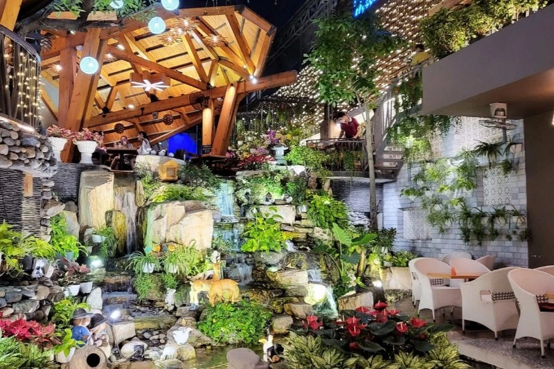 Không gian quán cafe quận 11 nhiều cây xanh