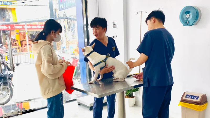 Phòng khám thú y Tân Bình nổi bật với đội ngũ bác sĩ nhiệt huyết, tận tình