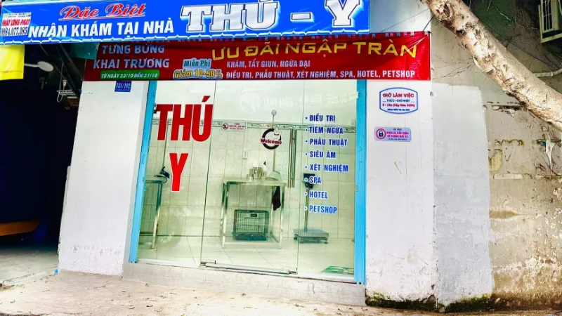 Phòng khám thú y Quận 8 có không gian sạch sẽ, cùng các dịch vụ chăm sóc thú cưng toàn diện