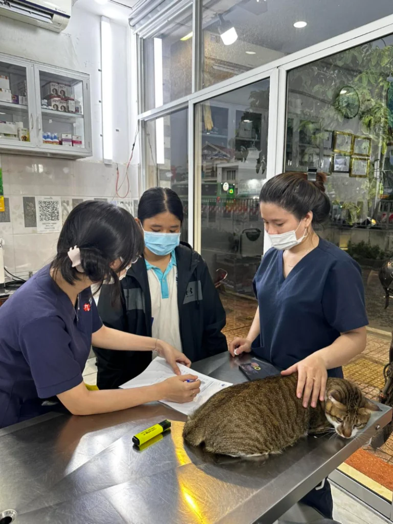 Phòng khám thú y Tân Phú nổi tiếng nhờ đội ngũ bác sĩ giỏi, tận tâm, chuyên nghiệp