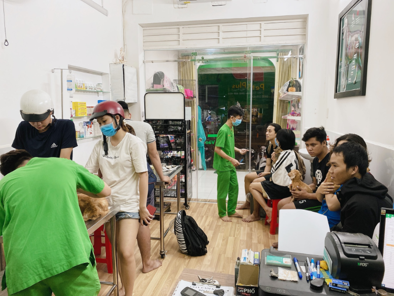 Phòng khám thú y Gò Vấp uy tín, với đội ngũ bác sĩ tận tâm, trang bị hiện đại