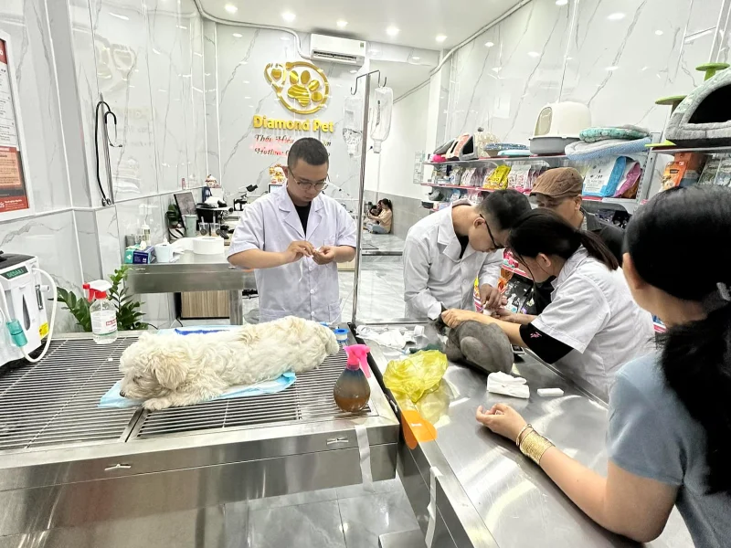 https://static.chotot.com/storage/chotot-kinhnghiem/nha/2025/05/10f44a70-thu-y-phu-nhuan-3-edited-1.webp?utm_source=chatgpt.com