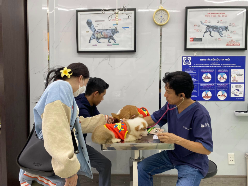 Phòng khám thú y Bình Thạnh chất lượng dịch vụ vượt trội