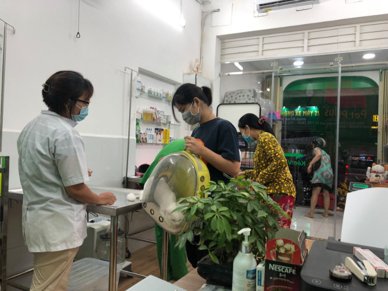 Phòng khám thú y Quận 12 nổi bật với dịch vụ đa dạng, đội ngũ bác sĩ giàu chuyên môn