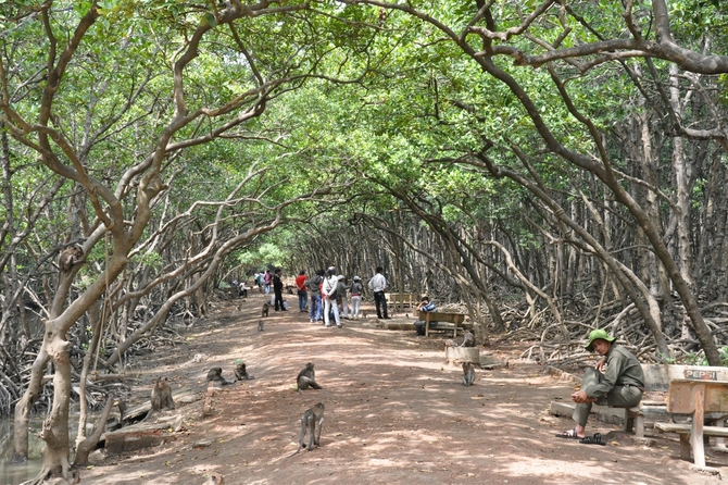 Cần Giờ mang đến cho bạn một hành trình đa sắc màu, phù hợp với mọi đối tượng từ gia đình, nhóm bạn đến các cặp đôi.
