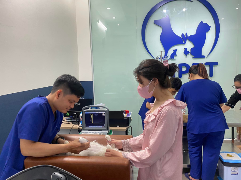 Bệnh viện thú y Thủ Đức tiên phong với đội ngũ bác sĩ có tay nghề cao