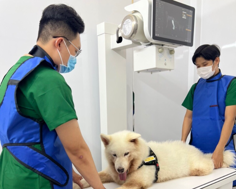 Thú y Quận 5 không chỉ thuận tiện về vị trí mà còn nổi bật với đội ngũ bác sĩ có chuyên môn cao
