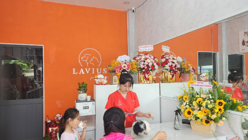 Phòng khám thú y Gò Vấp là lựa chọn đáng cân nhắc với thiết bị hiện đại, chất lượng dịch vụ vượt trội