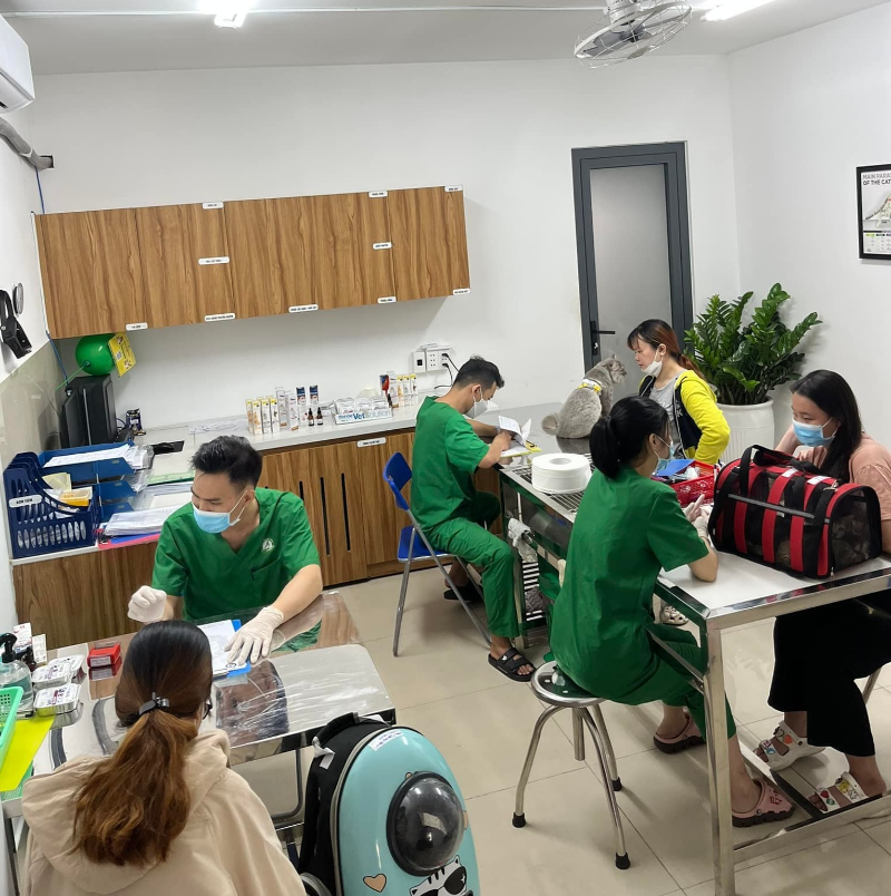Phòng khám thú y Quận 6 hiện đại, uy tín