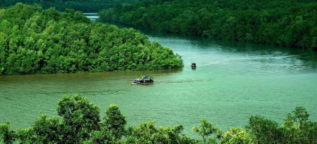 Khu du lịch Cần Giờ mang đến trải nghiệm kết hợp giữa thiên nhiên, biển rừng và văn hóa làng chài, phù hợp cho gia đình, nhóm bạn và du khách yêu thích sinh thái.
