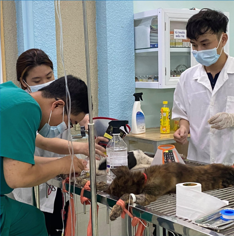 Top 5 phòng khám thú y Quận 8 uy tín tốt nhất hiện nay Phòng khám thú y Quận 8 là lựa chọn lý tưởng với đội ngũ bác sĩ nhiệt tình, có chuyên môn