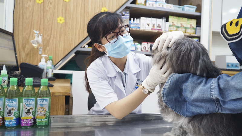 Phòng khám thú y Quận Bình Tân là điểm đến đáng tin cậy với chuyên gia giàu kinh nghiệm