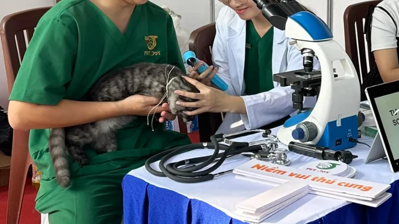 Bệnh viện thú y Tân Bình uy tín, hiện đại