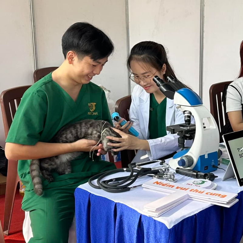 Top những phòng khám thú y Tân Bình tốt nhất hiện nay Bệnh viện thú y Tân Bình uy tín, hiện đại