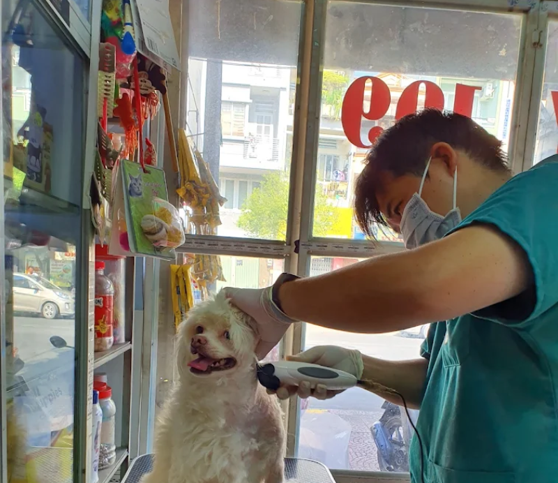 Phòng khám thú y Quận 4 tận tâm, bác sĩ có chuyên môn cao