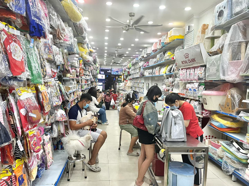 Phòng khám thú y Quận 5 có bác sĩ giàu kinh nghiệm, đa dạng dịch vụ
