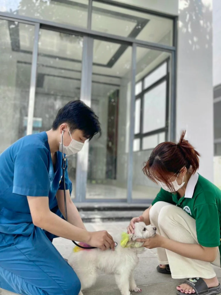 Phòng khám thú y Bình Chánh hiện đại, tiên tiến