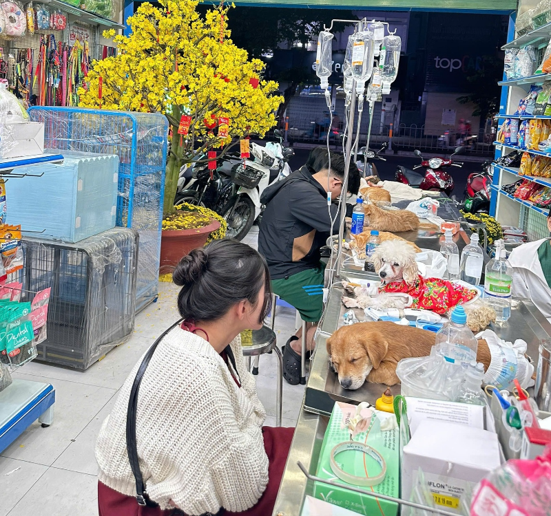 Phòng khám thú y Quận 4 có cơ sở vật chất hiện đại